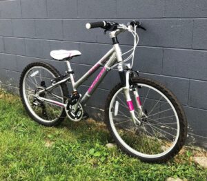 Read more about the article Schwinn Mesa 24″ MTB Silver/Pink – $170