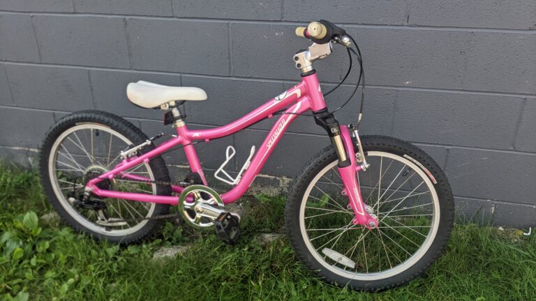 Specialized A1 20″ MTB Pink – $200