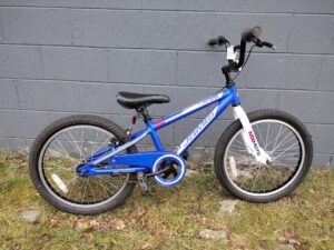 Read more about the article 20″ Jamis Lazer Kids Bike Blue – $120