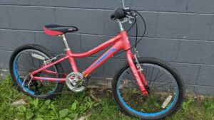 Read more about the article Giant Liv Enchant 20″ Kids MTB Pink – $189