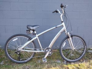 Read more about the article Trek Pure Sport MD (16″) Silver – $350