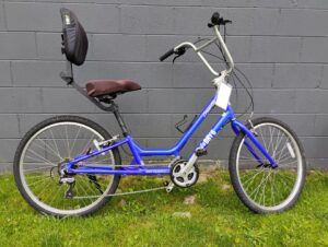 Read more about the article Day 6 Dream 24 Semi-Recumbent Small Blue – $500